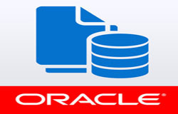 Oracle数据库管理工具有哪些?-北京米兰网页版公司