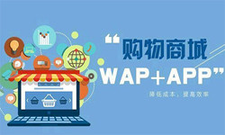 手机商城app米兰网页版流程-北京米兰网页版外包公司