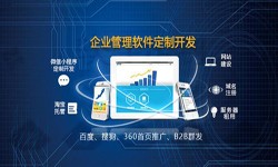 Erp米兰网页版的发展现状-北京米兰网页版公司米兰网页版