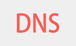 北京米兰网页版、DNS的基本概念、北京米兰网页版米兰网页版