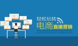 米兰网页版公司、做一个直播系统米兰网页版需要多少钱-北京软件外包公司