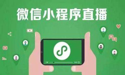 微信小程序开发、直播小程序开发-米兰网页版米兰网页版公司 