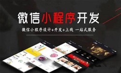 米兰网页版公司、定制微信小程序开发，商家需要了解哪些？米兰网页版米兰网页版