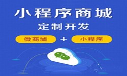 微信小程序开发、商城小程序开发功能-米兰网页版米兰网页版