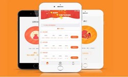 开发一款在线答题app需要哪些基本功能？北京米兰网页版
